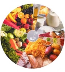 NUTRIÇÃO